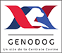 GENODOG - Un site de la centrale canine