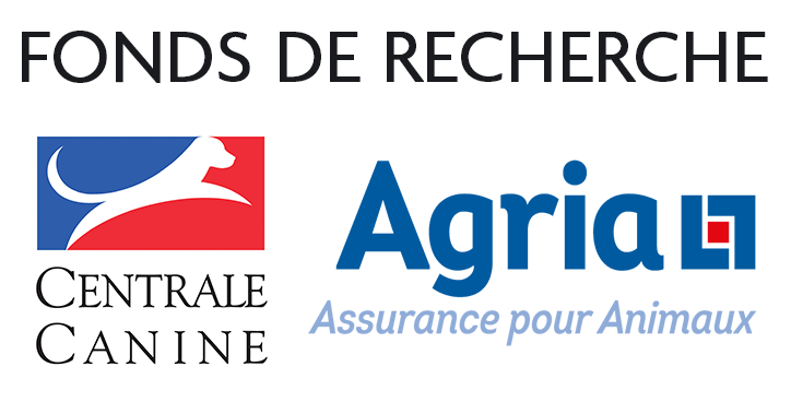 La dysplasie chez le chien - Agria Assurance pour animaux