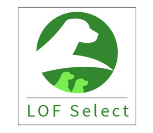 Le LOF Select Soci t Centrale Canine
